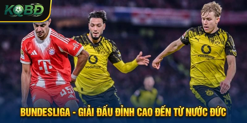 KQBD - Kết Quả Bóng Đá & Lịch Thi Đấu Hôm Nay | Blocki.tv 17 Bundesliga luôn được theo dõi kết quả từ hàng ngàn lượt truy cập mỗi ngày